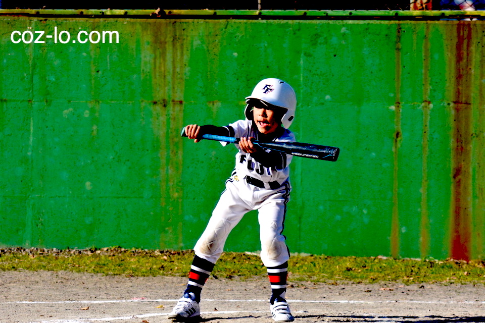 コントラストと彩度を上げた写真