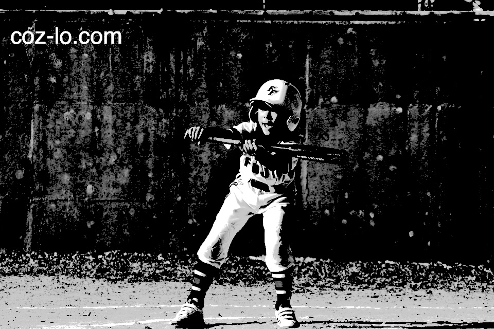 版画のようにした写真